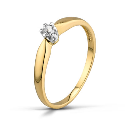 Helena - Pracownia Odlewniczo Jubilerska