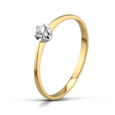 Helena - Pracownia Odlewniczo Jubilerska